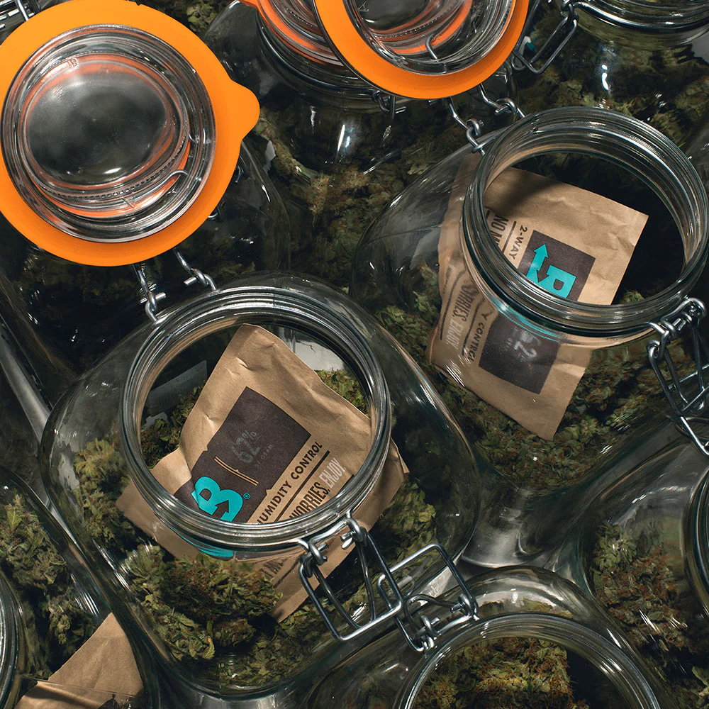 Boveda Size 67 for Cannabis, 62% RH Single (1 Ct) - Image 4