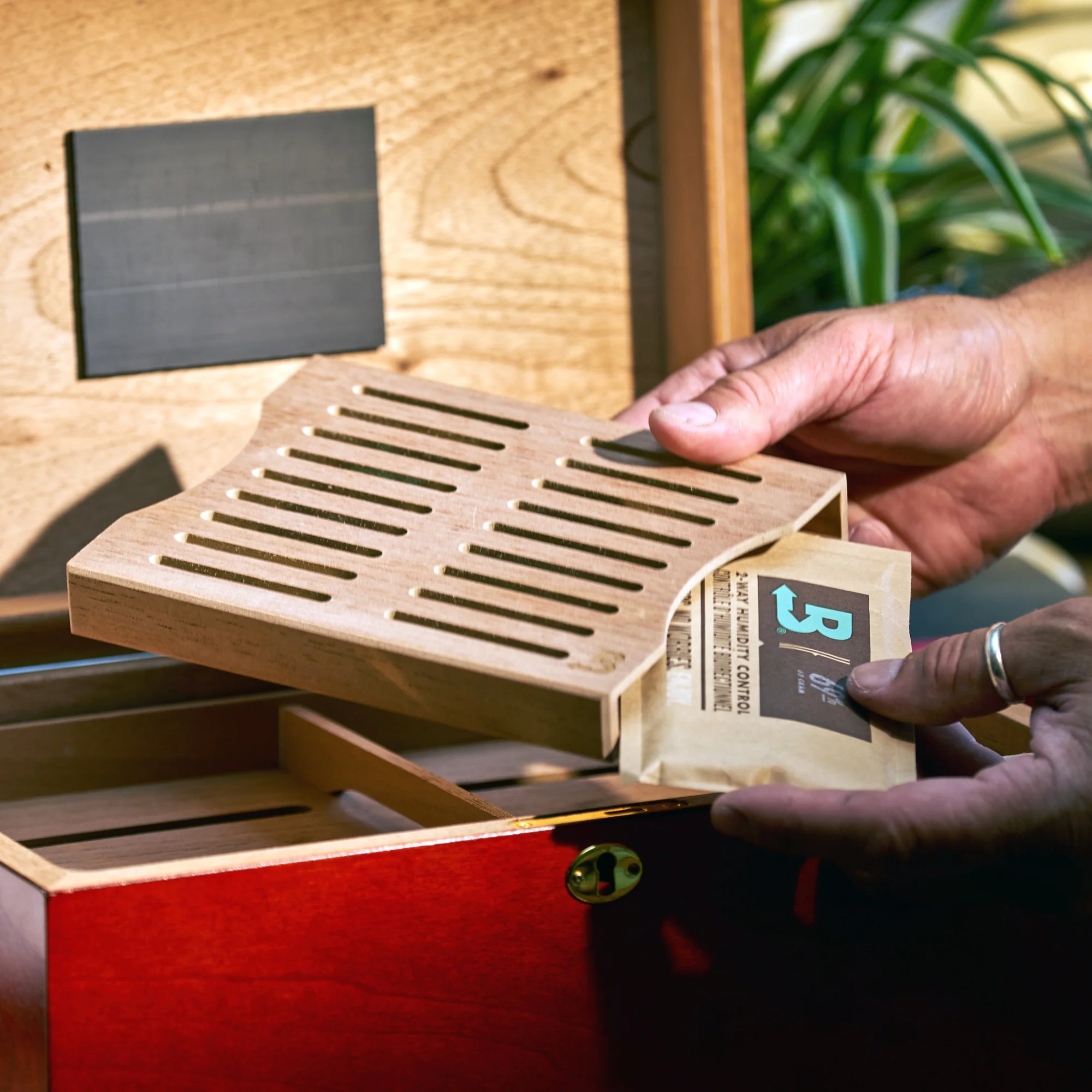 Cedar Boveda Holders for Humidors - Image 2